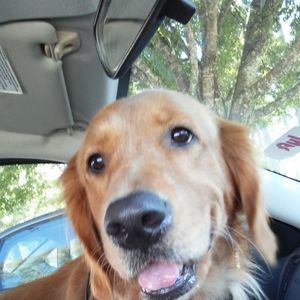 Meet your Posher, Claudette